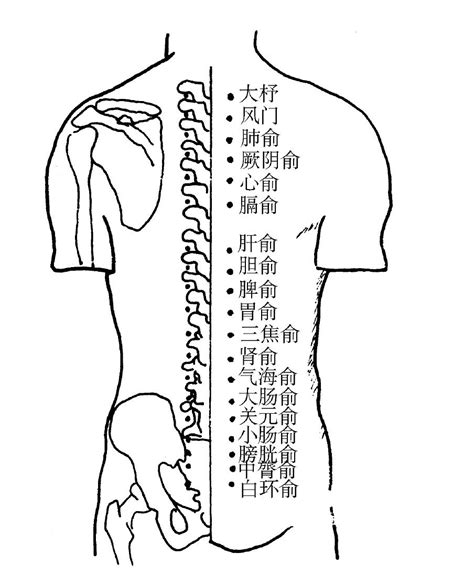 五俞穴口訣|中醫針灸常用的特定穴及臨床應用，背誦口訣總結！一定要看